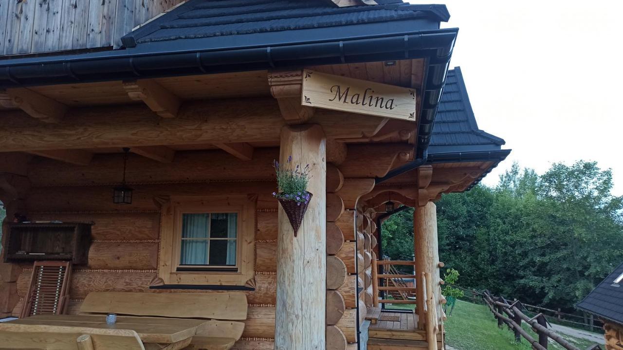 Osada Mala Kozowka Villa Myślenice Exteriör bild